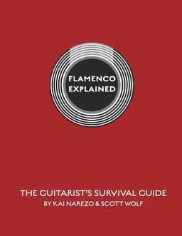 Flamenco Explained