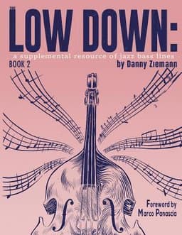 Low Down Book 2