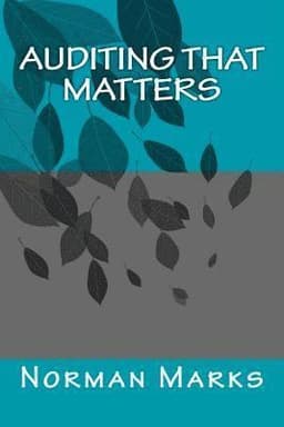 Auditing that matters