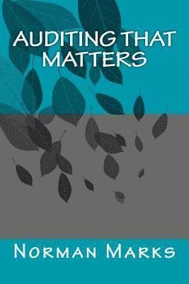 Auditing that matters