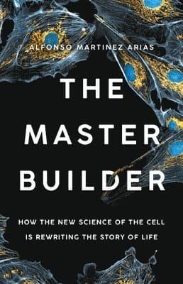 The Master Builder
