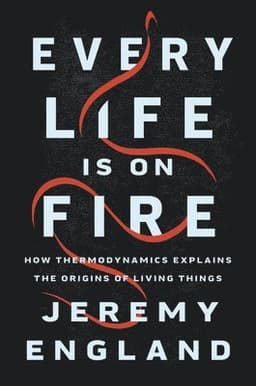 Every Life Is On Fire