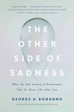 The Other Side of Sadness (Revised)
