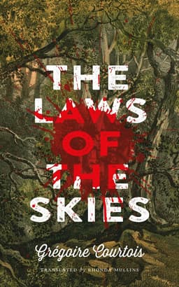 Laws of the Skies