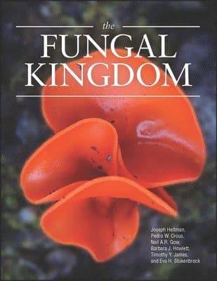 Fungal Kingdom