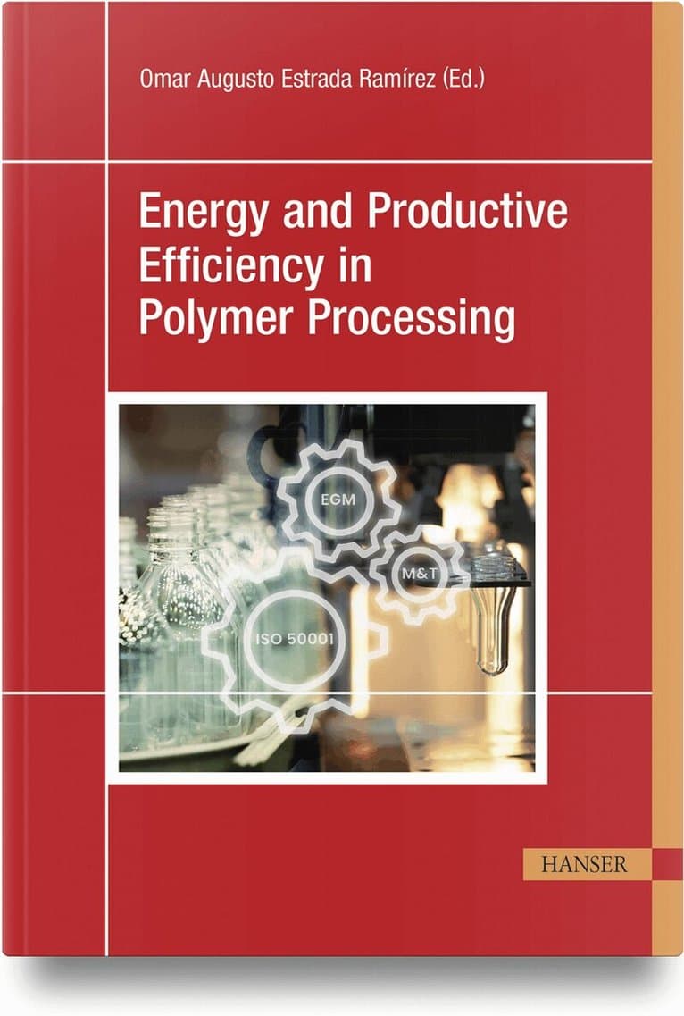 Energy and Productive Efficiency in Polymer Processing