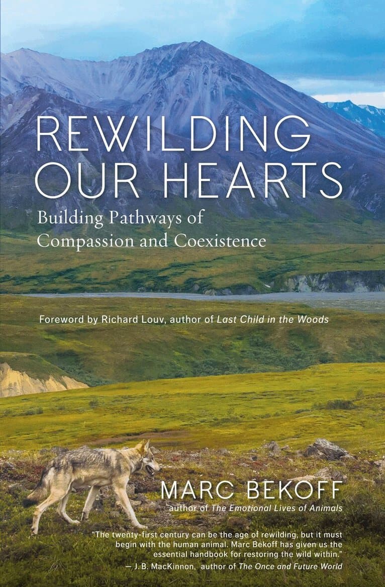 Rewilding Our Hearts