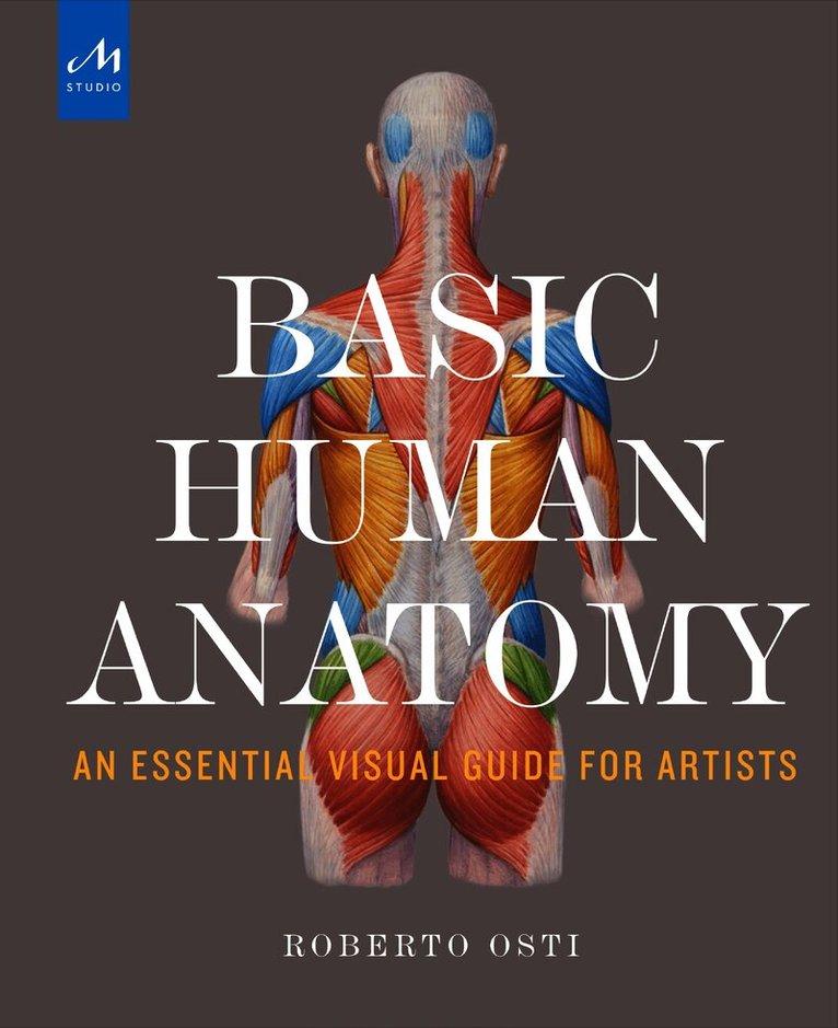 Basic Human Anatomy