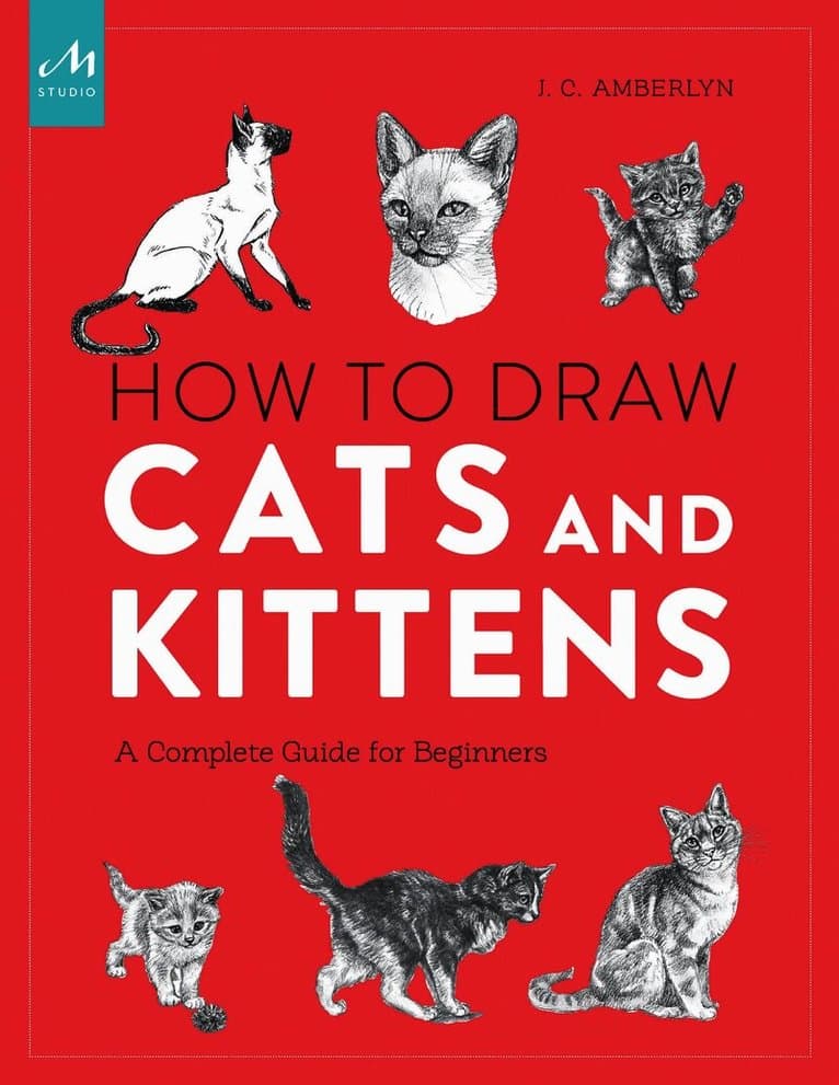 How to Draw Cats and Kittens