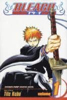 Bleach, Vol. 17