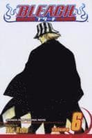 Bleach, Vol. 6