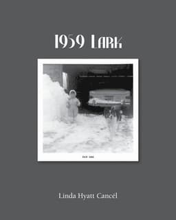 1959 Lark