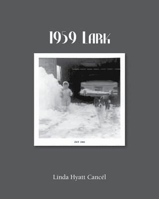 1959 Lark