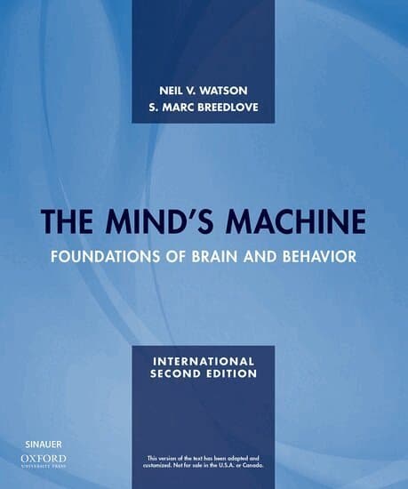 The Mind's Machine