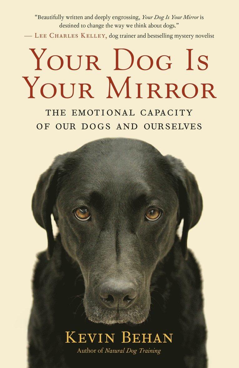 Your Dog is Your Mirror