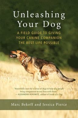 Unleashing Your Dog