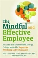 Mindful and Effective Employees
