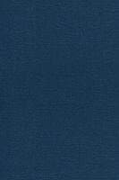 Practice and Science of Drawing