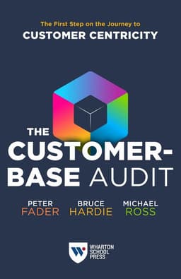 Customer-Base Audit