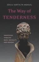Way of Tenderness