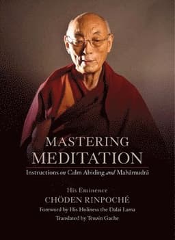 Mastering Meditation