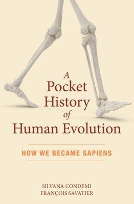 Pocket History of Human Evolution
