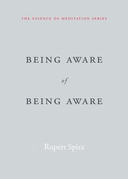 Being Aware of Being Aware