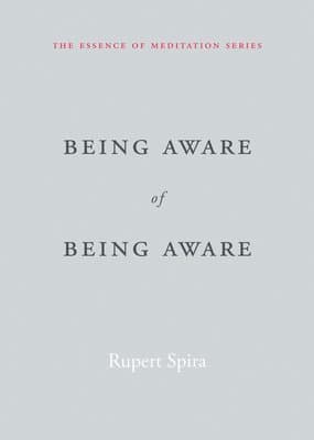 Being Aware of Being Aware