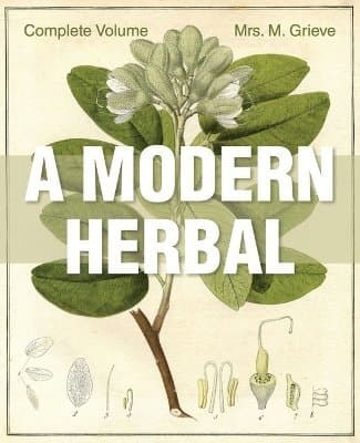 Modern Herbal