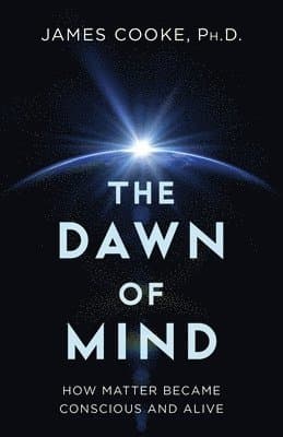 Dawn of Mind