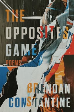 Opposites Game