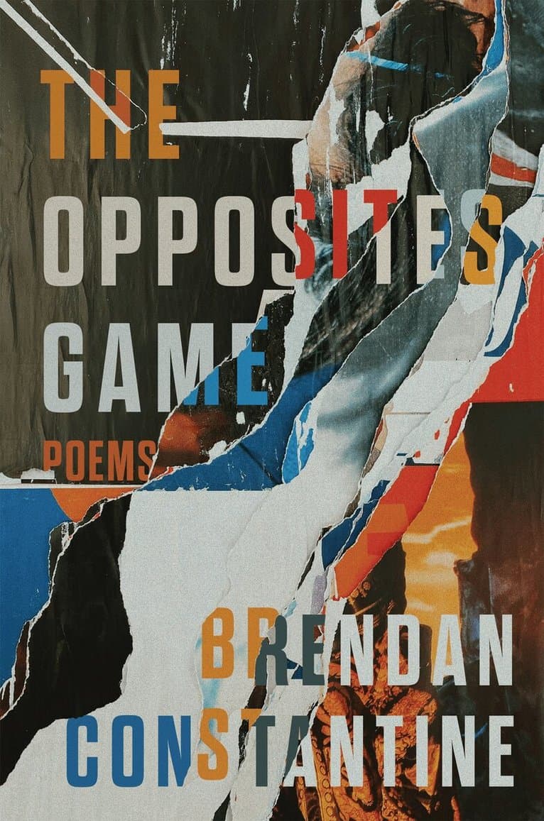 Opposites Game