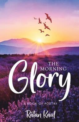 Morning Glory