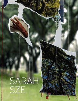Sarah Sze