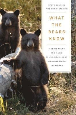 What the Bears Know