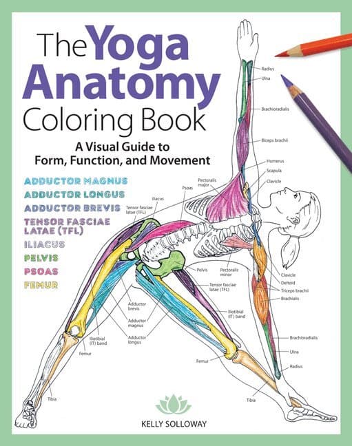 Yoga Anatomy Coloring Book, The