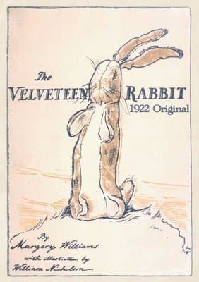 Velveteen Rabbit