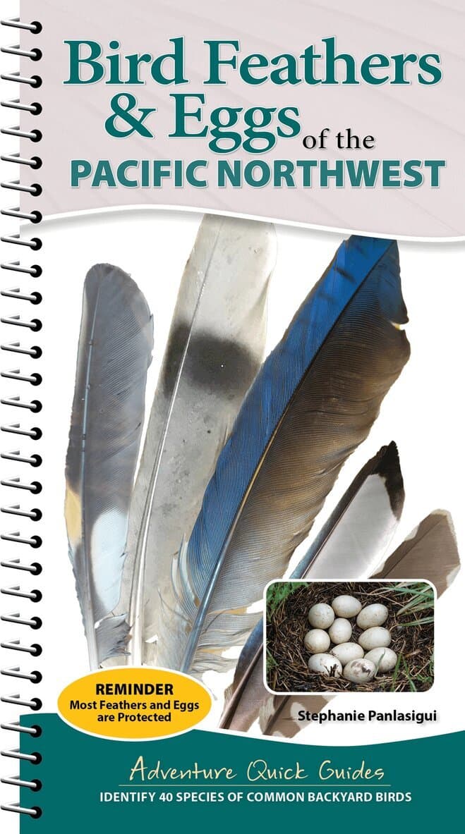 Bird Feathers & Eggs of the Pacific Northwest