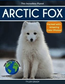 Arctic Fox