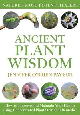 Ancient Plant Wisdom