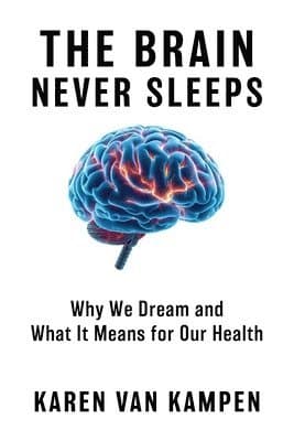 Brain Never Sleeps