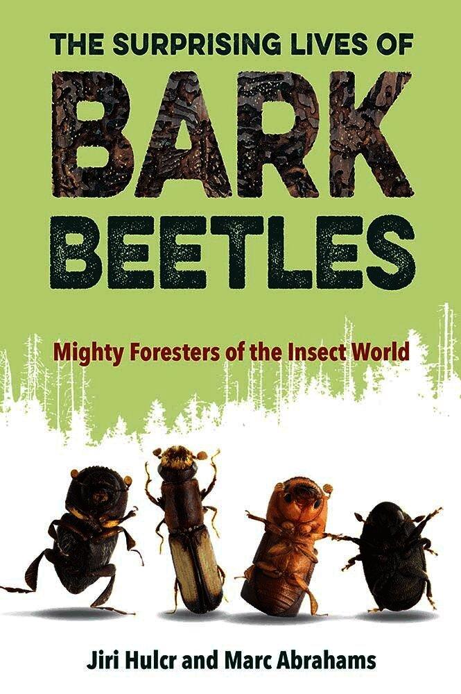 Surprising Lives of Bark Beetles