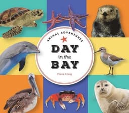 Animal Adventures: Day in the Bay