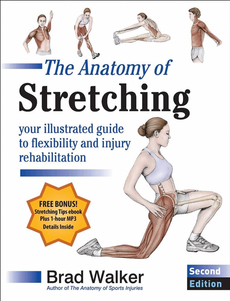 Anatomy of Stretching