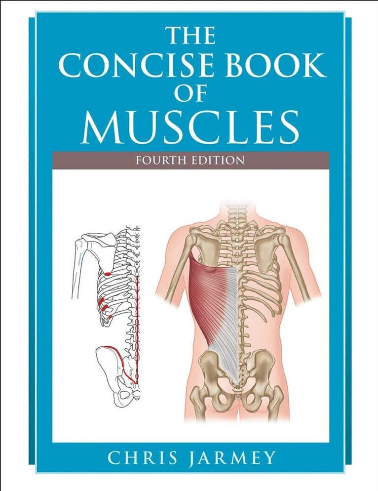 Concise Book of Muscles