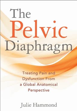 Pelvic Diaphragm