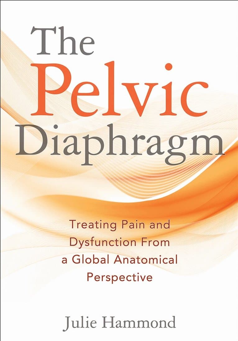 Pelvic Diaphragm