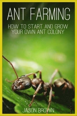 Ant Farming: How to Start and Grow Your Own Ant Colony