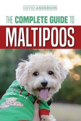 Complete Guide to Maltipoos