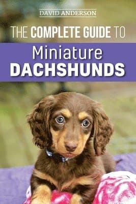 Complete Guide to Miniature Dachshunds